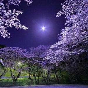 Meet your Posher, Mary emma